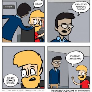 IT Guy (16)