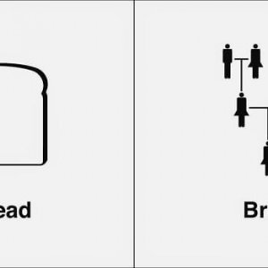 Illustrations Of Same Words That people Confuse Way Too Often (9)