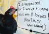 The best of chicken shaming (21 images)