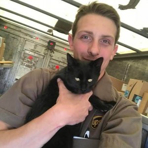 UPS Dogs (21)