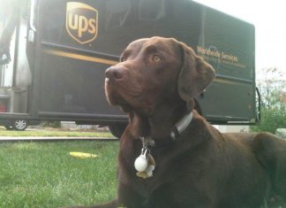 UPS Drivers capture the most interesting photos on their routes (38 images)