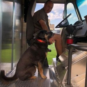 UPS Dogs (34)