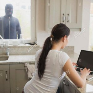 WTF Stock Photos (1)