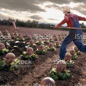 WTF Stock Photos (14)