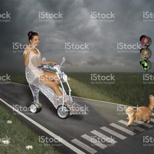 WTF Stock Photos (4)
