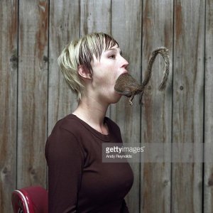WTF Stock Photos (5)