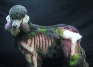 Creative grooming: is my owner an idiot?