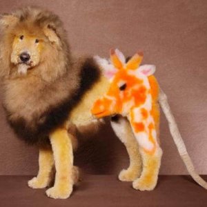 is my owner an idiot (2)