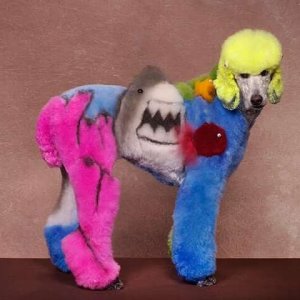 is my owner an idiot (3)