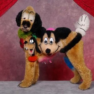 is my owner an idiot (4)