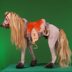 is my owner an idiot (7)
