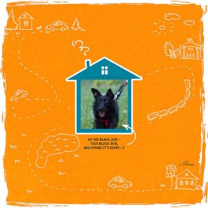 Illustrator Captures Life With His Charming Adopted Dog In Delightful Comic (14)