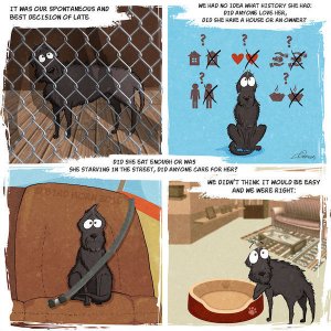 Illustrator Captures Life With His Charming Adopted Dog In Delightful Comic (2)