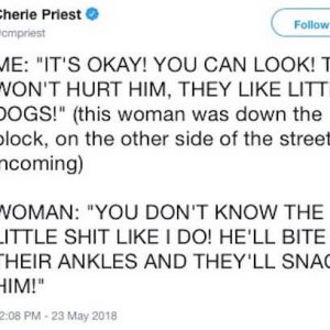 This Twitter story about an escaped Pomeranian is a roller-coaster (10)