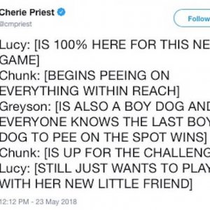 This Twitter story about an escaped Pomeranian is a roller-coaster (13)