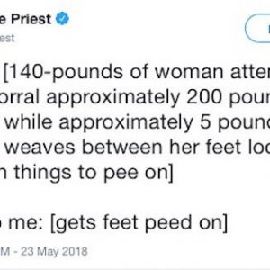This Twitter story about an escaped Pomeranian is a roller-coaster (14)