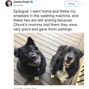 This Twitter story about an escaped Pomeranian is a roller-coaster (17)