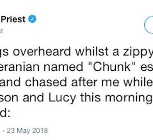 This Twitter story about an escaped Pomeranian is a roller-coaster (2)