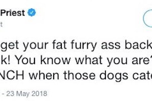 This Twitter story about an escaped Pomeranian is a roller-coaster (3)