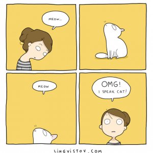What It’s Like To Live With A Cat (1)