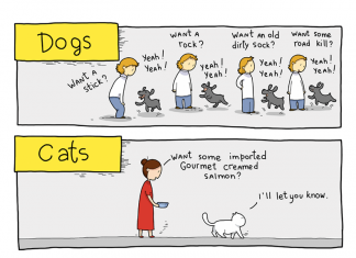 What it’s like to live with a cat? (18 comics)