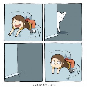 What It’s Like To Live With A Cat (11)