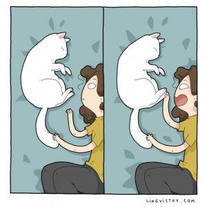 What It’s Like To Live With A Cat (13)