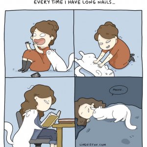 What It’s Like To Live With A Cat (14)