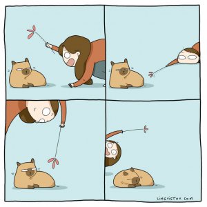 What It’s Like To Live With A Cat (15)