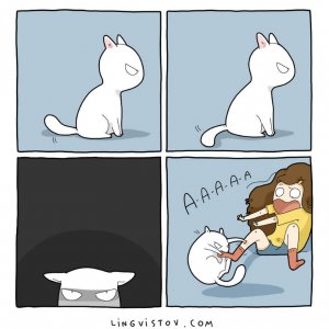What It’s Like To Live With A Cat (16)