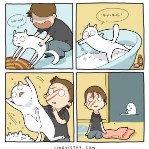 What It’s Like To Live With A Cat (17)