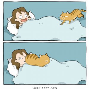 What It’s Like To Live With A Cat (2)