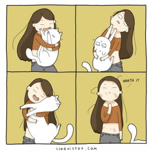 What It’s Like To Live With A Cat (3)
