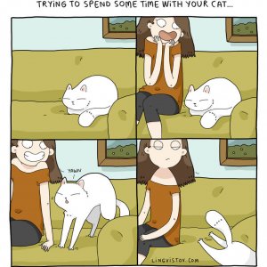 What It’s Like To Live With A Cat (6)
