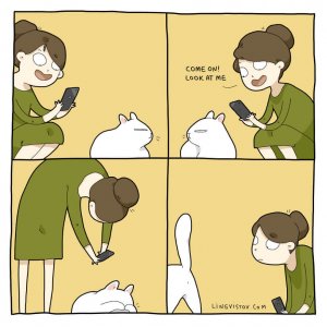 What It’s Like To Live With A Cat (7)