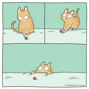 What It’s Like To Live With A Cat (8)