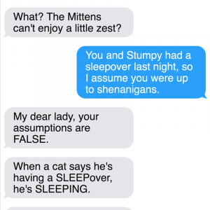 All New Texts From The Sassy Cat Mittens That Will Make You LOL (10)