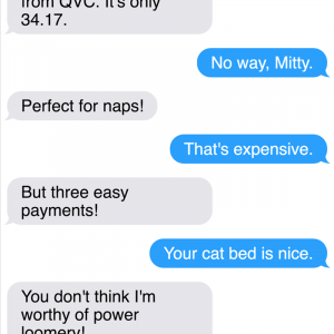 All New Texts From The Sassy Cat Mittens That Will Make You LOL (14)