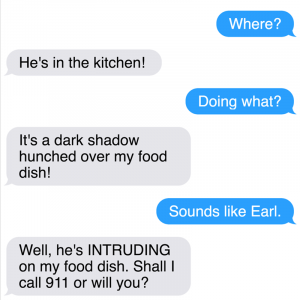 All New Texts From The Sassy Cat Mittens That Will Make You LOL (15)