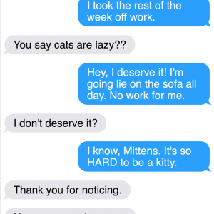 All New Texts From The Sassy Cat Mittens That Will Make You LOL (19)