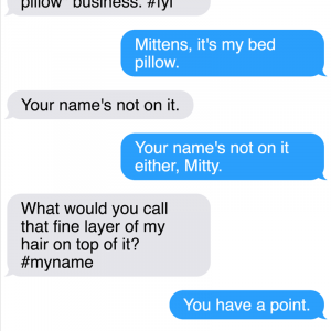 All New Texts From The Sassy Cat Mittens That Will Make You LOL (20)