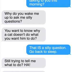 All New Texts From The Sassy Cat Mittens That Will Make You LOL (5)