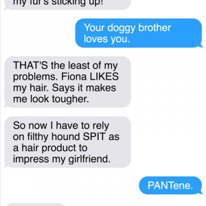 All New Texts From The Sassy Cat Mittens That Will Make You LOL (7)