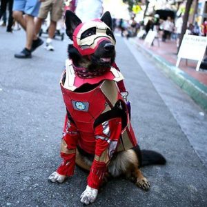 Best Cosplays From Comic Con 2018 (28)