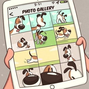 Comics About What We Do to Our Pets (10)