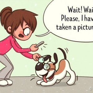 Comics About What We Do to Our Pets (2)