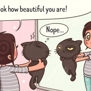 Comics About What We Do to Our Pets (4)