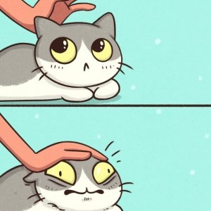 Comics About What We Do to Our Pets (7)