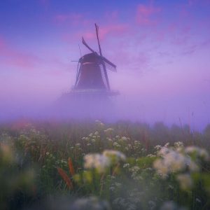 I Photographed Dutch Windmills In The Fog And The Results Are Magical (1)