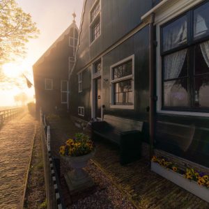 I Photographed Dutch Windmills In The Fog And The Results Are Magical (10)